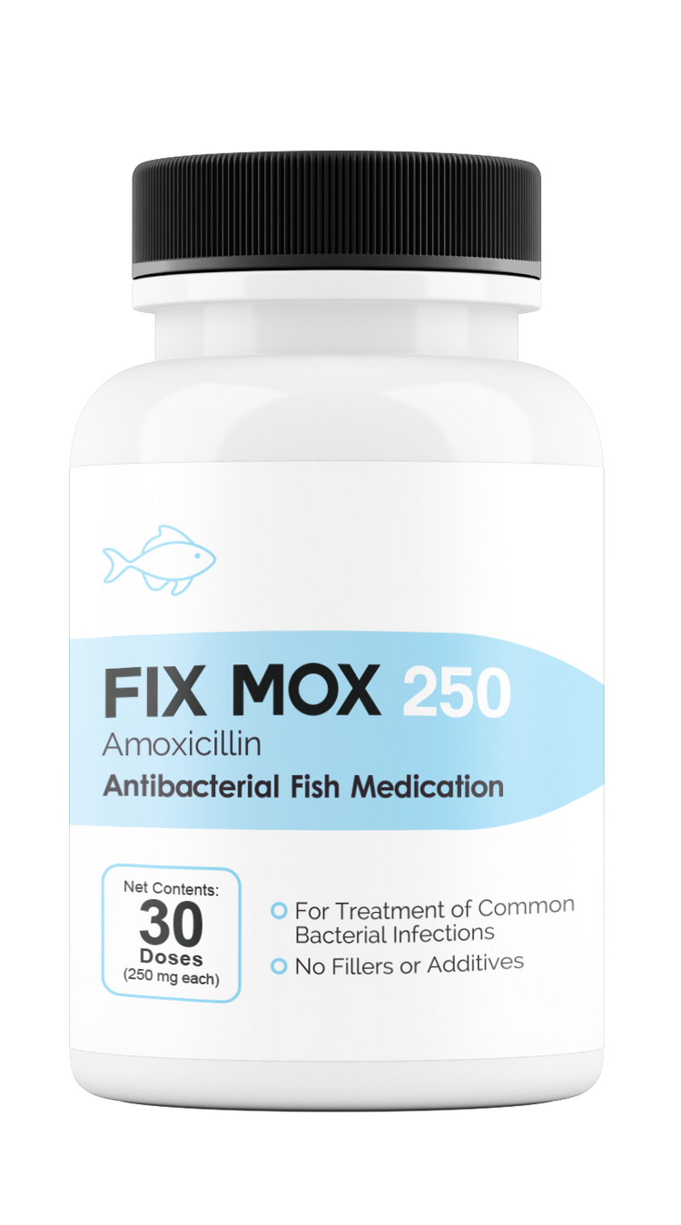 Fix Mox 250 (Amoxicillin) 250mg 30 Count