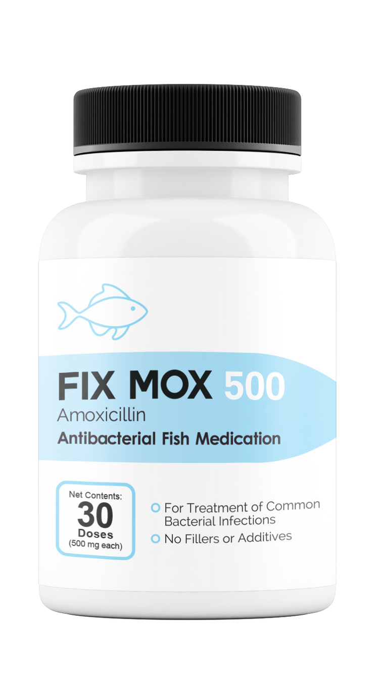 Fix Mox 500mg 30 count Amoxicillin