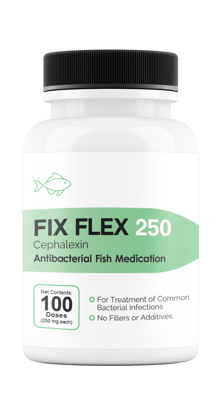 Fix Flex 250 250Mg (Cephalexin) 100 Count