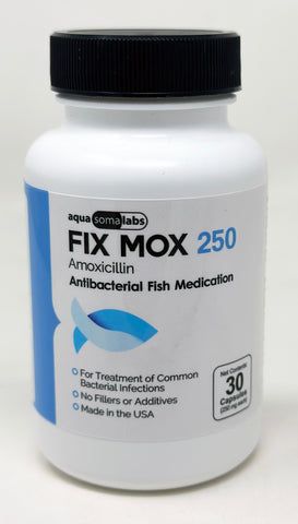 Fix Mox 250  (Amoxicillin) 250mg 30 Count