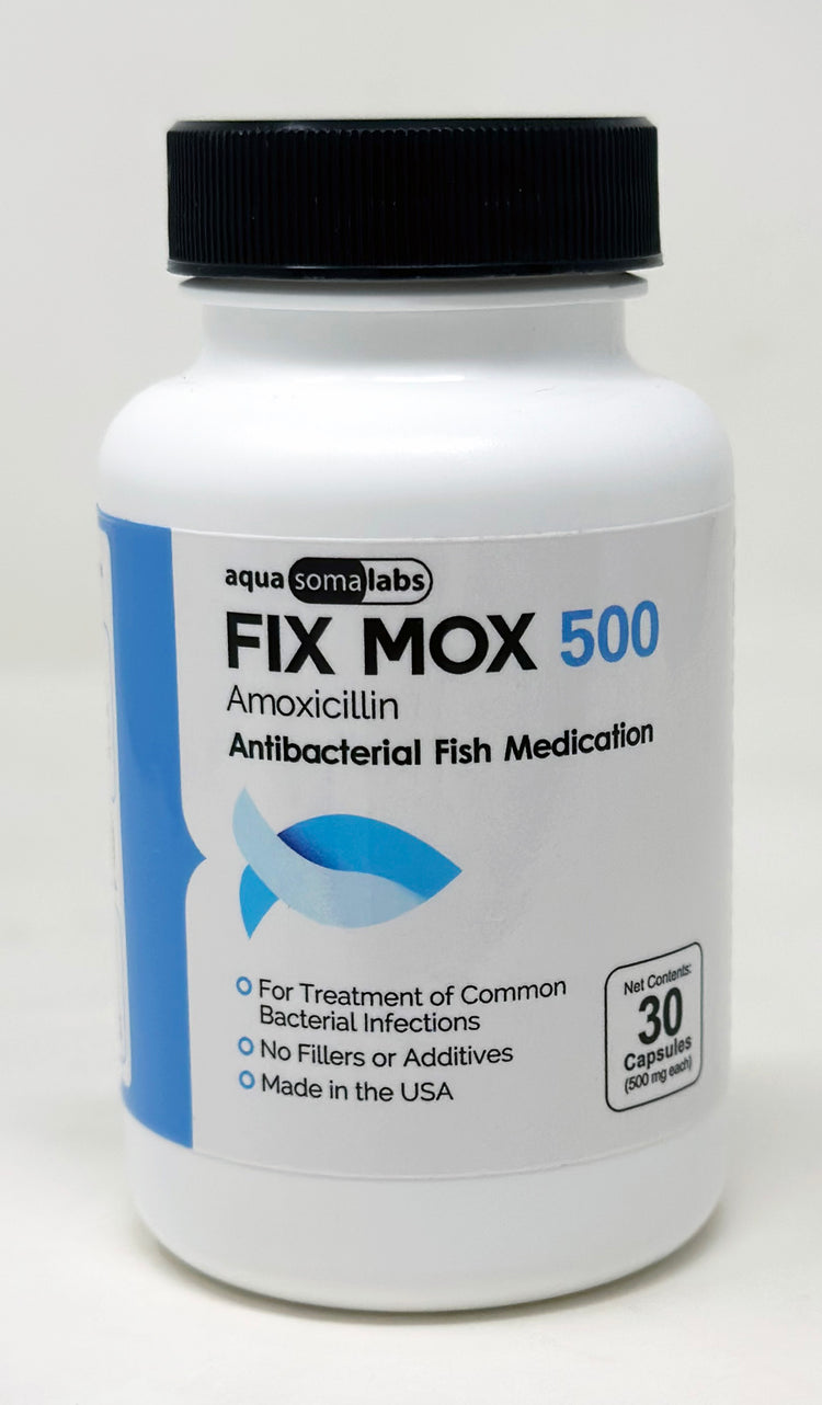 Fix Mox 500mg 30 count Amoxicillin