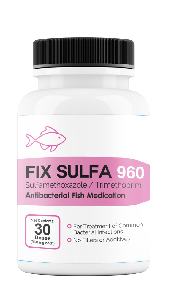 Fix Sulfa (Sulfamethoxazole / Trimethoprim) 960mg 30 Count