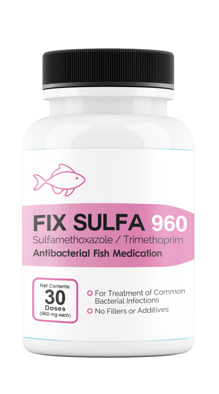 Fix Sulfa (Sulfamethoxazole / Trimethoprim) 960mg 30 Count