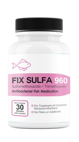 Fix Sulfa (Sulfamethoxazole / Trimethoprim) 960mg 30 Count