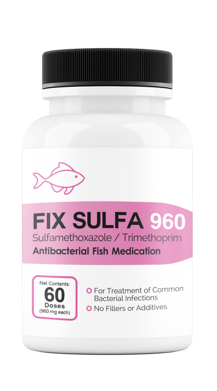 Fix Sulfa (Sulfamethoxazole / Trimethoprim) 960mg 60 Count