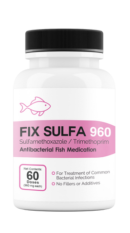 Fix Sulfa (Sulfamethoxazole / Trimethoprim) 960mg 60 Count