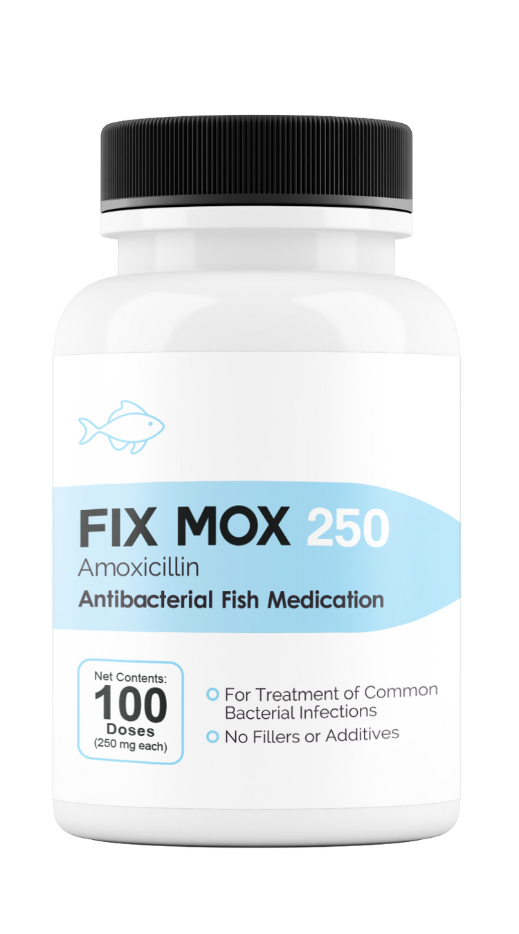 Fix Moxi 250 250Mg (Amoxicillin) 100 Count