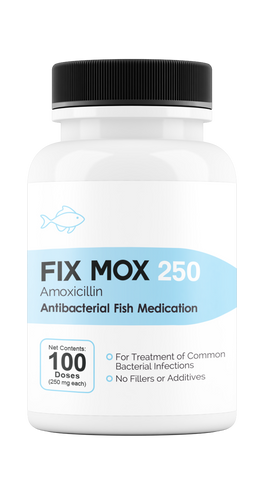 Fix Moxi 250 250Mg (Amoxicillin) 100 Count