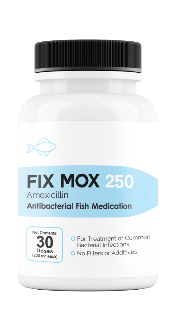 Fix Mox 250  (Amoxicillin) 250mg 30 Count