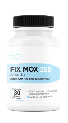 Fix Mox 250  (Amoxicillin) 250mg 30 Count