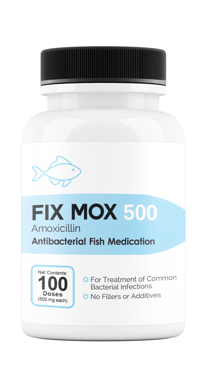 Fish Antibiotics: Amoxicillin 500mg Treatment for Aquariums – Fish Meds ...
