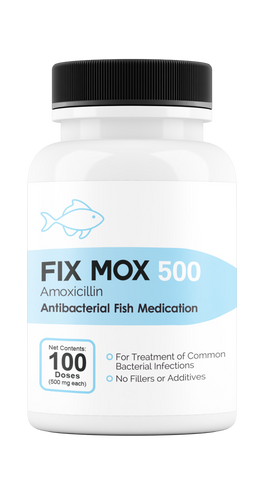Fix Mox 500 - 500Mg (Amoxicillin) 100 Count