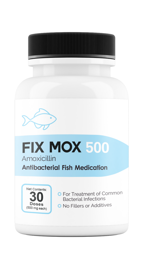 Fix Mox 500mg 30 count Amoxicillin