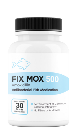 Fix Mox 500mg 30 count Amoxicillin