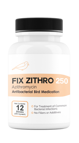 Fix Zithro 250 (Azithromycin) 12 Count