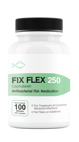 Fix Flex 250 250Mg (Cephalexin) 100 Count