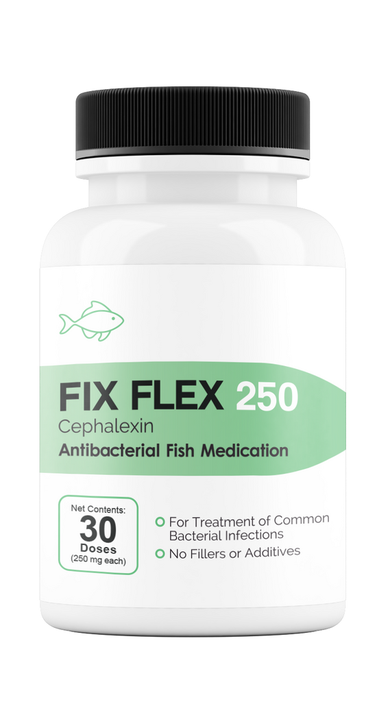 Fix Flex 250 250Mg (Cephalexin) 30 Count