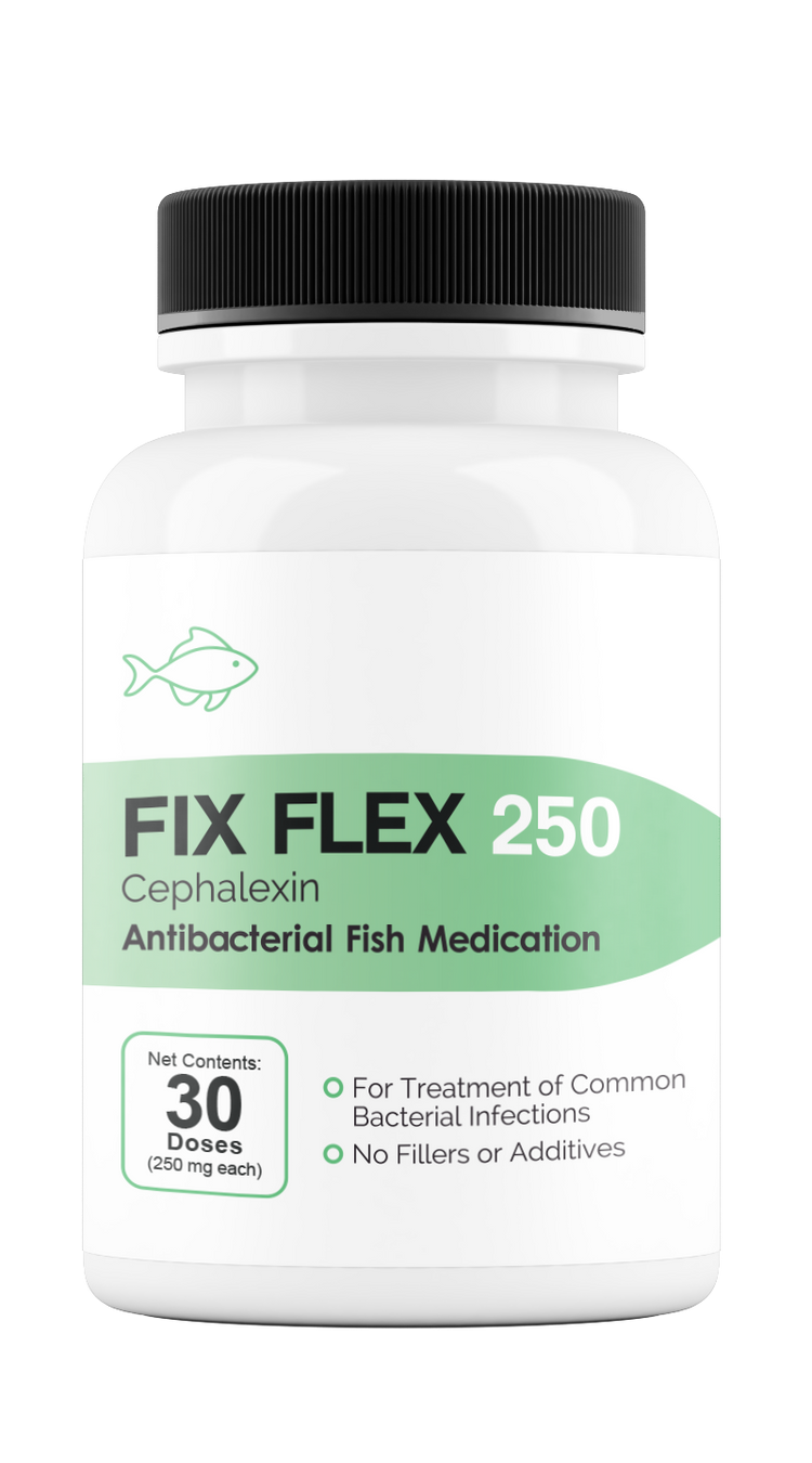 Fix Flex 250 250Mg (Cephalexin) 30 Count