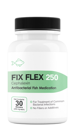 Fix Flex 250 250Mg (Cephalexin) 30 Count