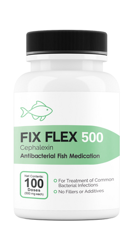 Fix Flex 500 500Mg (Cephalexin) 100 Count