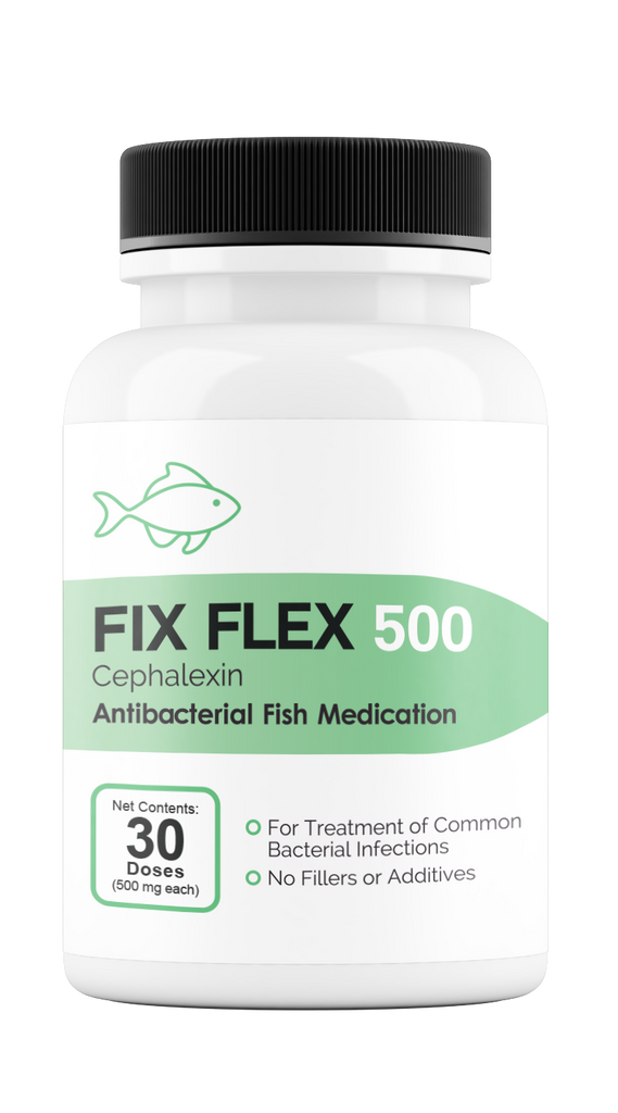 Fix Flex 500 500Mg (Cephalexin) 30 Count