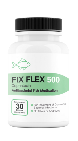Fix Flex 500 500Mg (Cephalexin) 30 Count