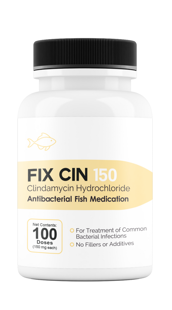 Fix Cin 150 (Clindamycin) 150mg 100 ct