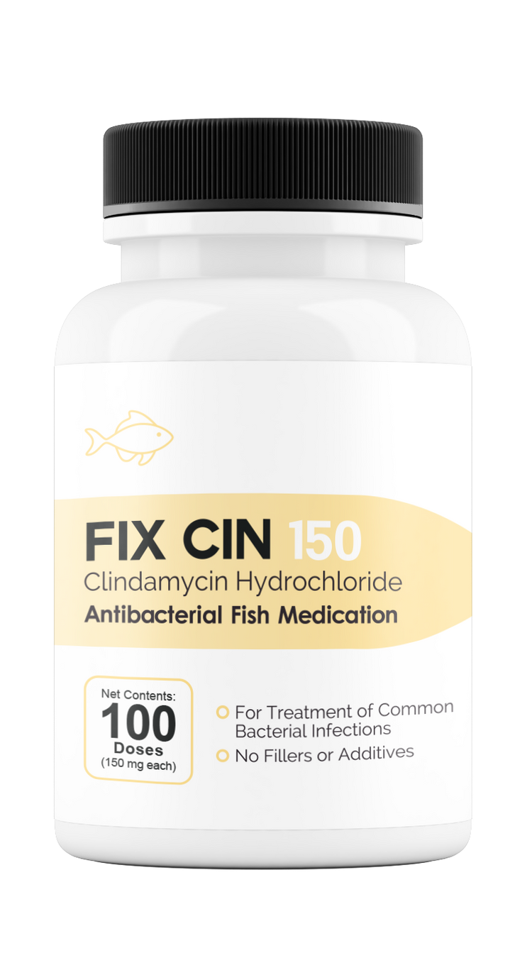 Fix Cin 150 (Clindamycin) 150mg 100 ct