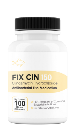 Fix Cin 150 (Clindamycin) 150mg 100 ct