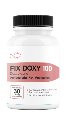 Fix Doxy 100 (Doxycycline) 100 MG 30 CT