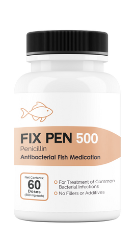 Fix Pen 500 (Penicillin) Tablets 500mg 30 Count